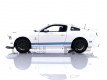 SHELBY GT 500 - 2013