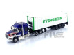 WESTERN STAR 49X WITH CONTAINER 40 FT EVERGREEN